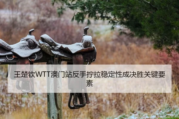 王楚钦WTT澳门站反手拧拉稳定性成决胜关键要素